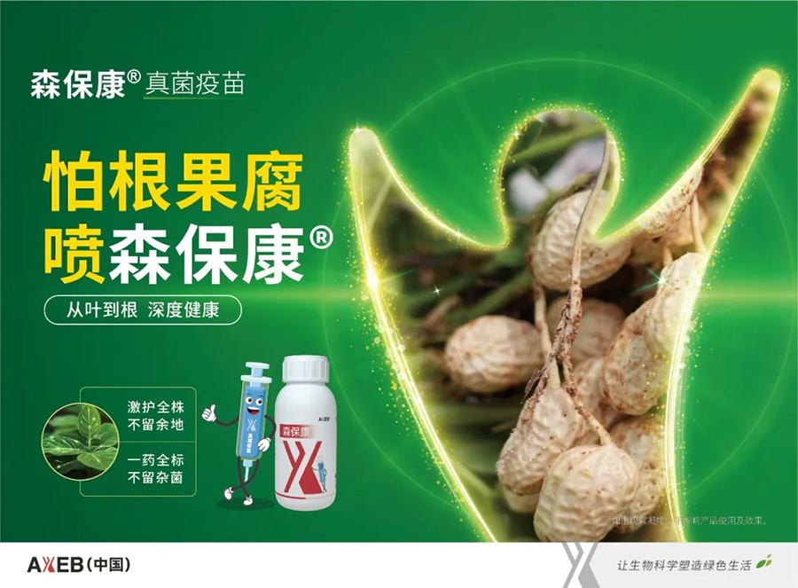 怕根果腐 喷森保康®丨辽宁森保康®田间观摩会现异彩！